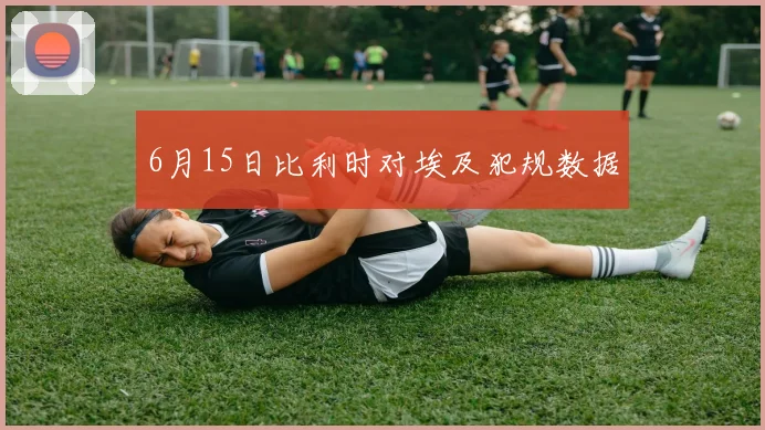 6月15日比利时对埃及犯规数据